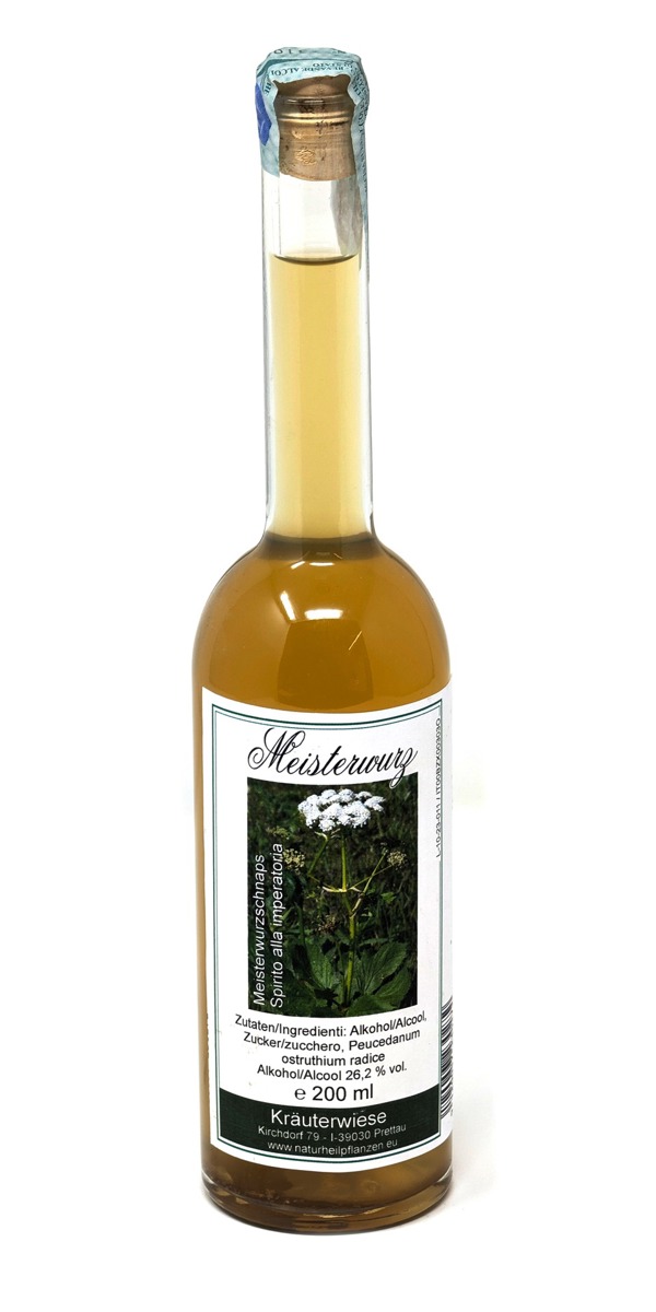 24 Kräuterwiese Meisterwurz