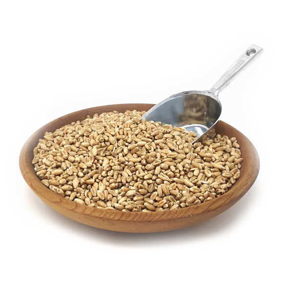 12-Bio Weizenkörner Tschogglerhof.jpg